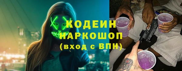 шишки Богородицк