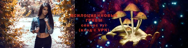 кокаин колумбия Богданович