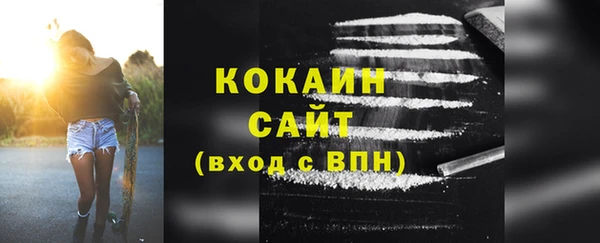 шишки Богородицк