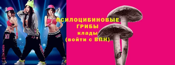 кокаин колумбия Богданович