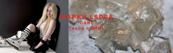 шишки Богородицк