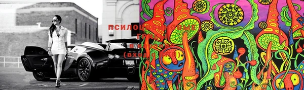 шишки Богородицк